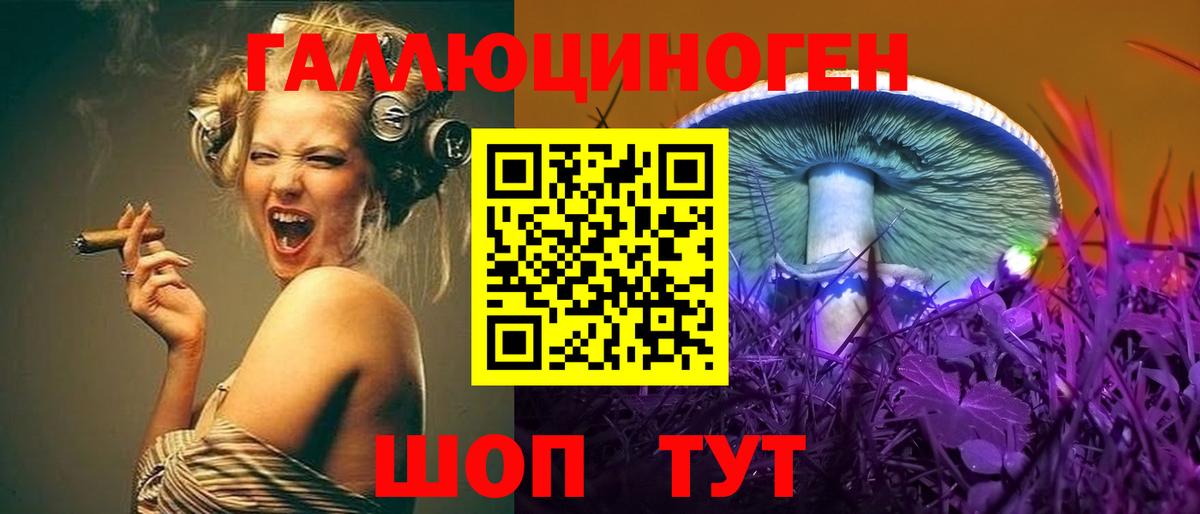Клин  Галлюциногенные грибы GOLDEN TEACHER  Вход с VPN 