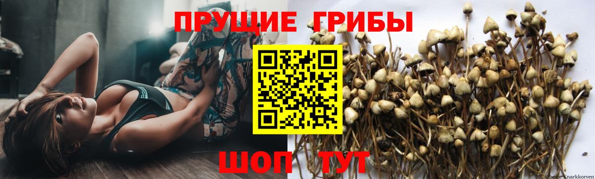 Галлюциногенные грибы прущие грибы Клин
